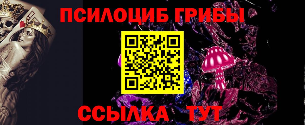 Псилоцибиновые грибы мухоморы  Псилоцибиновые грибы прущие грибы  Вход с VPN  Звенигород 