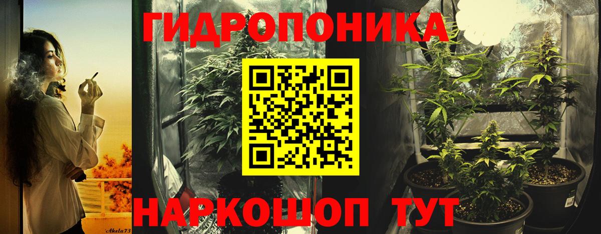 Бошки марихуана VHQ Звенигород